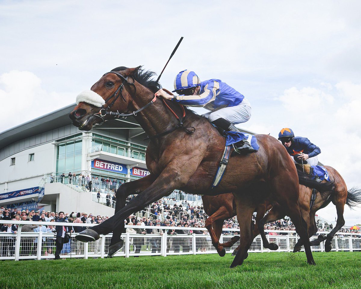 All For One Racing Syndicates (@allforonerac2) on Twitter photo C&D winner City of Delight seeks a hat trick this afternoon in the 4:30 race <a href="/WindsorRaces/">Windsor Racecourse</a>! <a href="/daviesharry_/">Harry Joe Davies</a> rides for <a href="/DavidMenuisier/">David Menuisier 🇬🇧🇫🇷🇪🇺🌍</a>, All For One Racing III & I Bandres. C&D winner City of Delight seeks a hat trick this afternoon in the 4:30 race <a href="/WindsorRaces/">Windsor Racecourse</a>! <a href="/daviesharry_/">Harry Joe Davies</a> rides for <a href="/DavidMenuisier/">David Menuisier 🇬🇧🇫🇷🇪🇺🌍</a>, All For One Racing III & I Bandres.