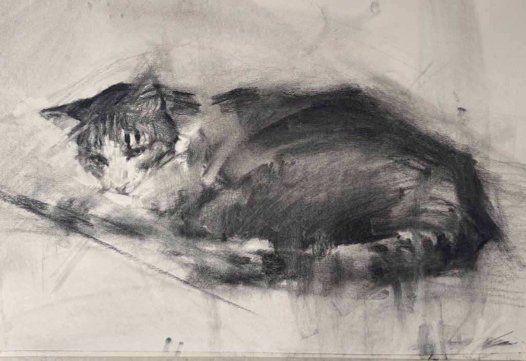 摩須大紀 tweet media