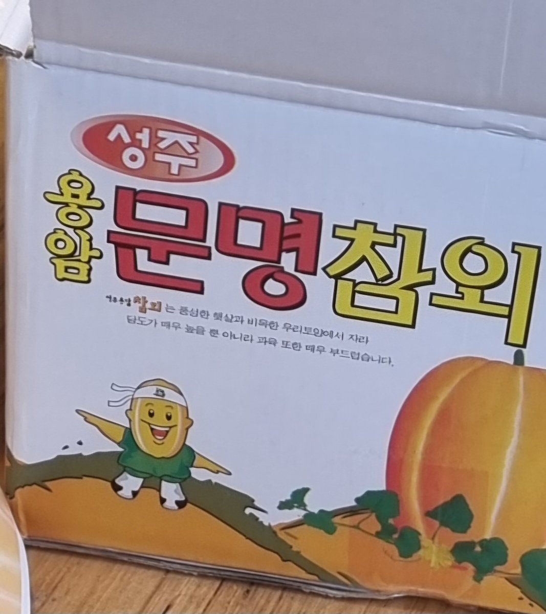 hamzi2222's tweet photo. 길가다 우연히 마주친 참돌군😄 https://t.co/o8dTfQmvru