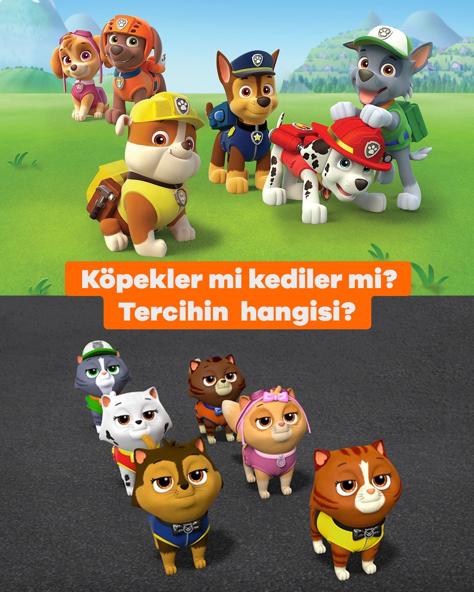 🐾Köpekler mi kediler mi?🐶🤗😸 #PawPatrol #Çarşamba
