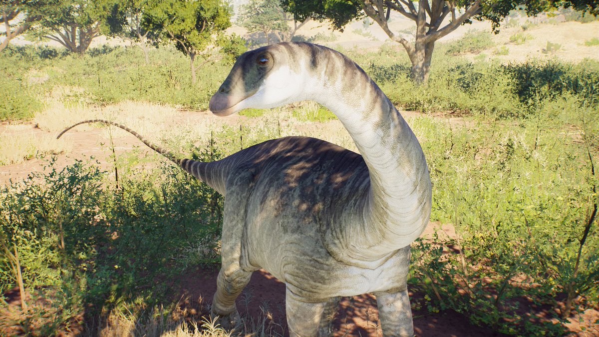 pk is such a goldmine for good reference screenshots