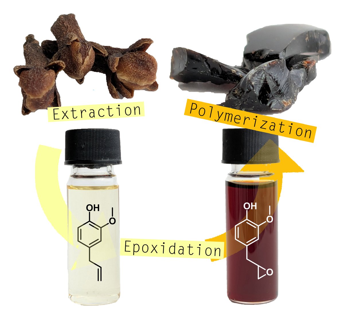 Slugovc Lab tweet media