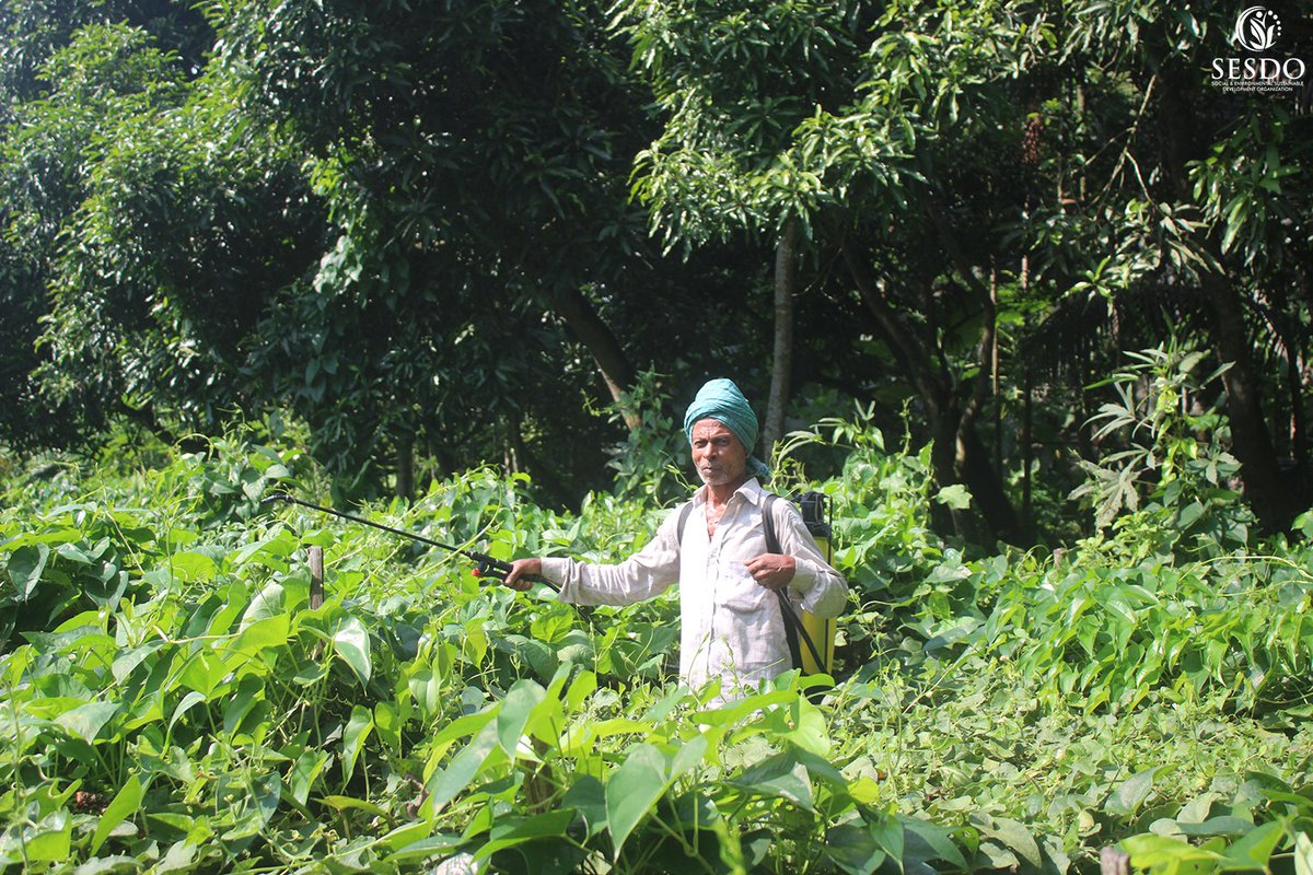 SESDOBD's tweet photo. Supporting Small-Scale Farmers to Ensure Food Security, Livelihoods and Agrobiodiversity

#climatesmartagriculture #climatesmartagroforestry #climatesmartagritourism #SESDO #sesdobd #Satkhira #Bangladesh #livelihoods #agrobiodiversity #naturebasedsolutions https://t.co/qVH82B7pro