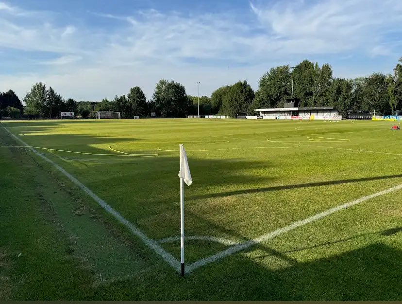 Watford Ladies tweet media