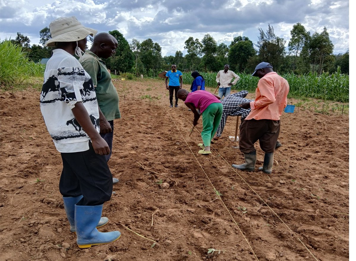 upscale_h2020's tweet image. 🌱 Season 2 Update from Tanzania!
#UPSCALE has launched another Mother-Baby Trial in Tanzania & these trials continue to bring farmers closer to climate-smart solutions, testing and adapting Push-Pull Technology directly in their fields.
Track us at upscale-hub.eu