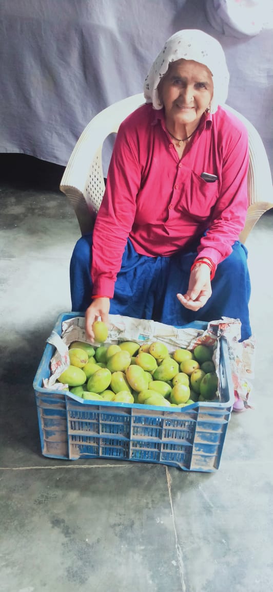 देसी आम 🥭