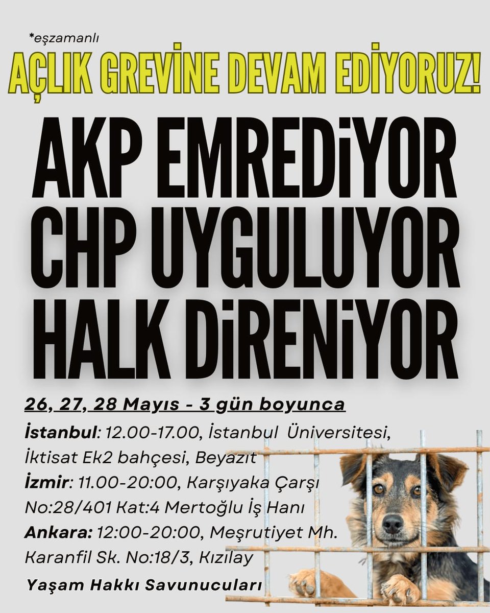 Hayvan Hakkı savuncuları açlık grevine girdi. 

İsteklerini sıralıyorlar. Arasında öyle uçuk kaçık şeyler yok. İstekleri uygulansa zaten sokak hayvanı sorunu biter: 

1-“Katliam Yasası” derhal geri çekilmeli, hayvanların yaşam ve özgürlük haklarını
güvenceye alan yeni bir yasa