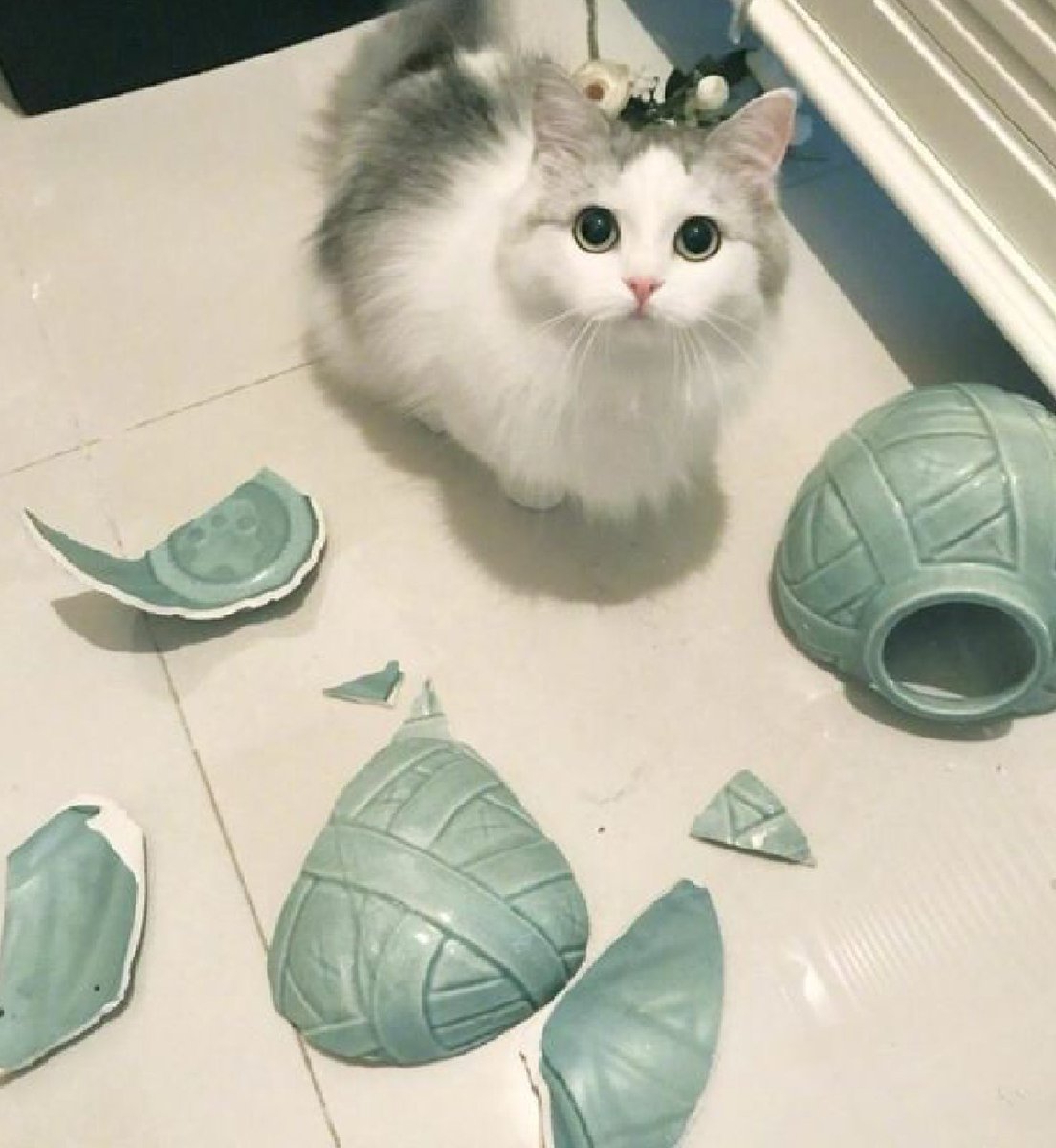 ₍˄·͈༝·͈˄₎?♡