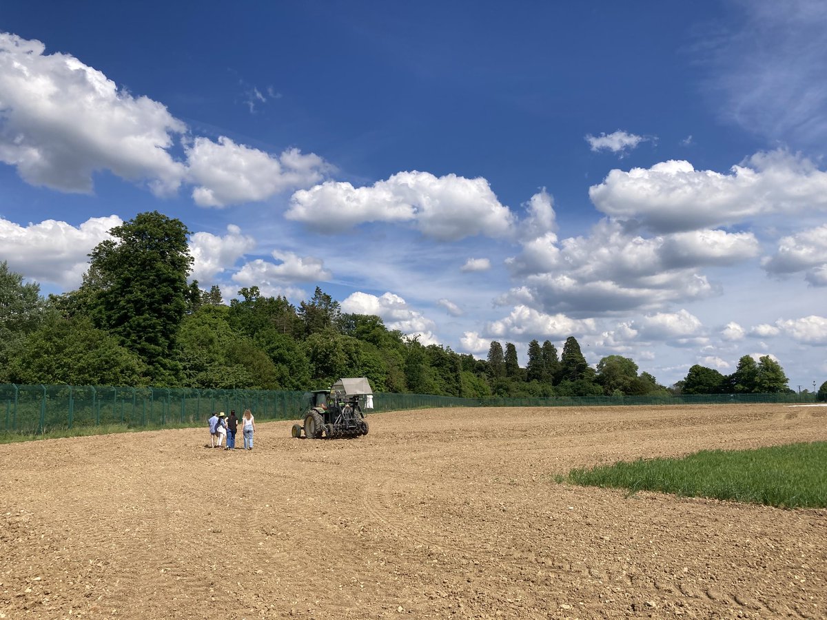 JohnathanNapie1's tweet image. In addition to our big 4000m2 GM camelina trial at Suffolk, last week we also sowed some smaller plots on the @Rothamsted Farm in Herts. This trial has a range of traits & combines GE with GM approaches. Nice pics by @LihuaRobertson of the team & site.
