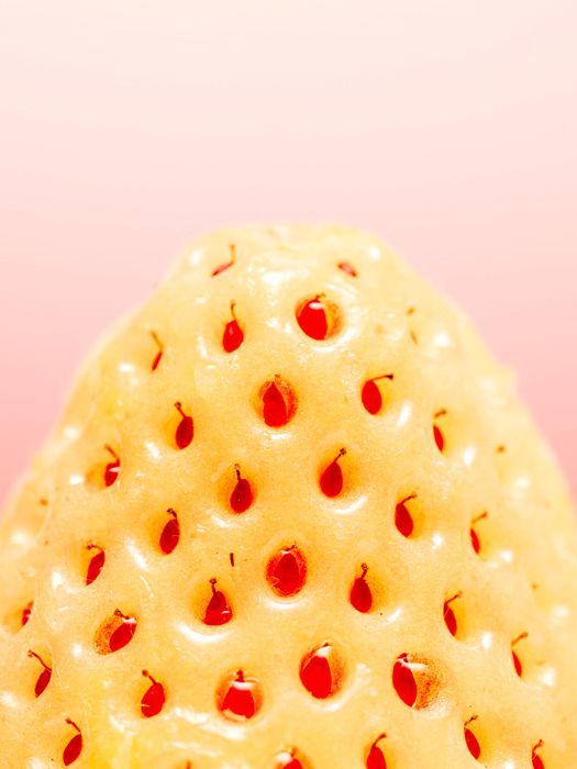 François Chauveau tweet media