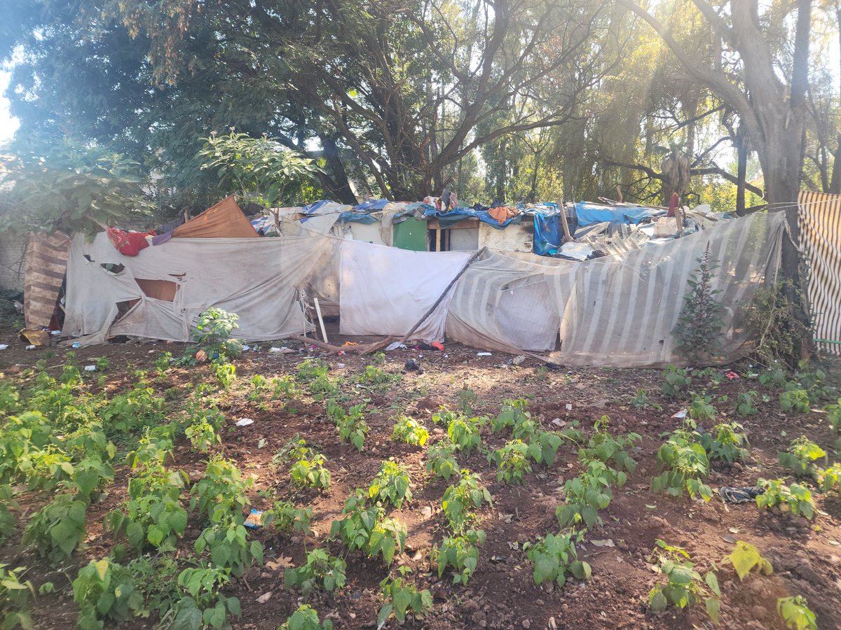SthembeloMajola's tweet photo. Section 79 Chairpersons for Public Safety, Finance & EISD with ActionSA councillor are at the informal settlement that is sitting on top of an Egoli gasline.
#SaveCoJ https://t.co/ecZqGajFzP