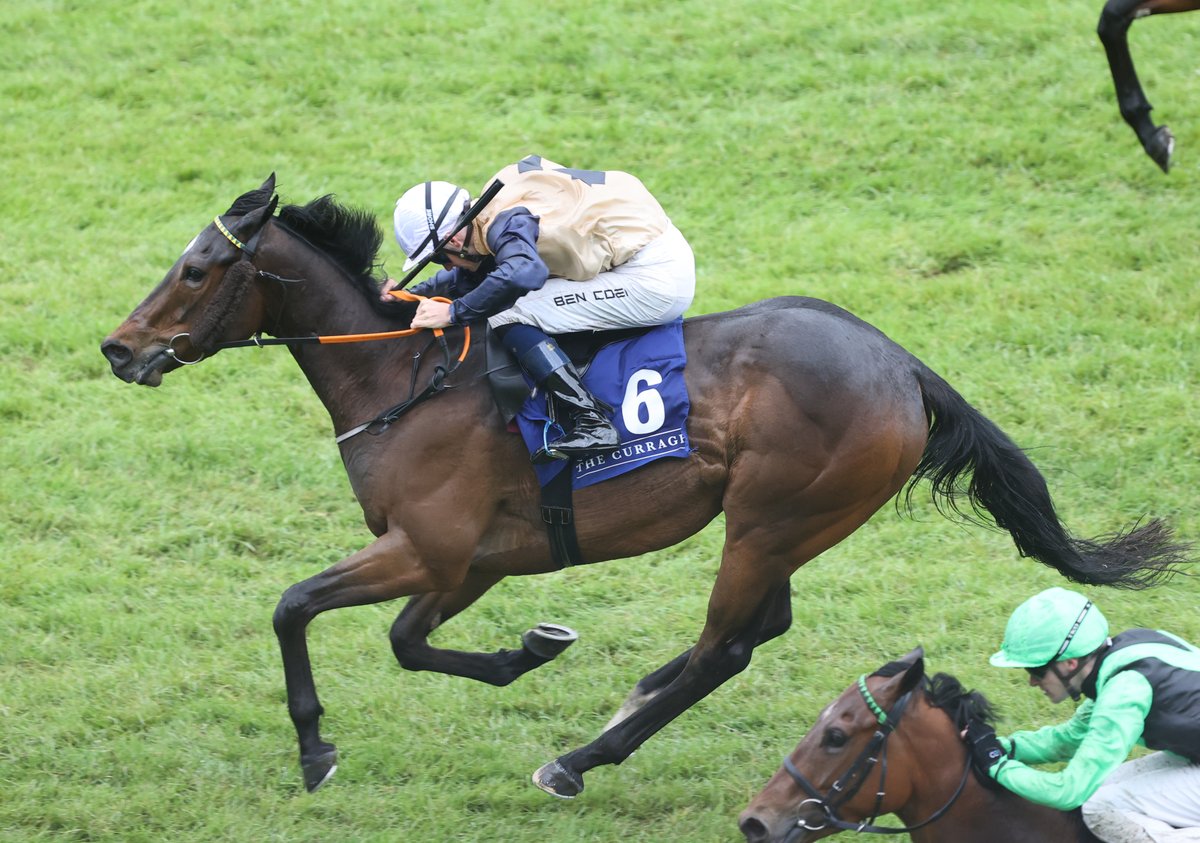 Connolly's RED MILLS (@redmillshorse) on Twitter photo Brigid's Cloak and Iceford provided <a href="/JohnnyMurtagh/">Johnny Murtagh</a> with two winners at the 2025 Tattersalls Irish Guineas Weekend at the Curragh ๐
Great results for all involved especially young jockey Patrick McGettigan who partnered Brigid's Cloak ๐
#FeedYourDesireToWin Brigid's Cloak and Iceford provided <a href="/JohnnyMurtagh/">Johnny Murtagh</a> with two winners at the 2025 Tattersalls Irish Guineas Weekend at the Curragh ๐
Great results for all involved especially young jockey Patrick McGettigan who partnered Brigid's Cloak ๐
#FeedYourDesireToWin