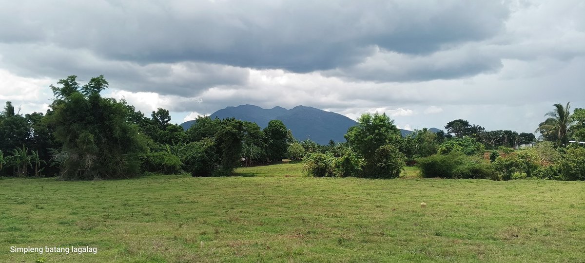 Sarap siguro dito makipag niig? #alterph