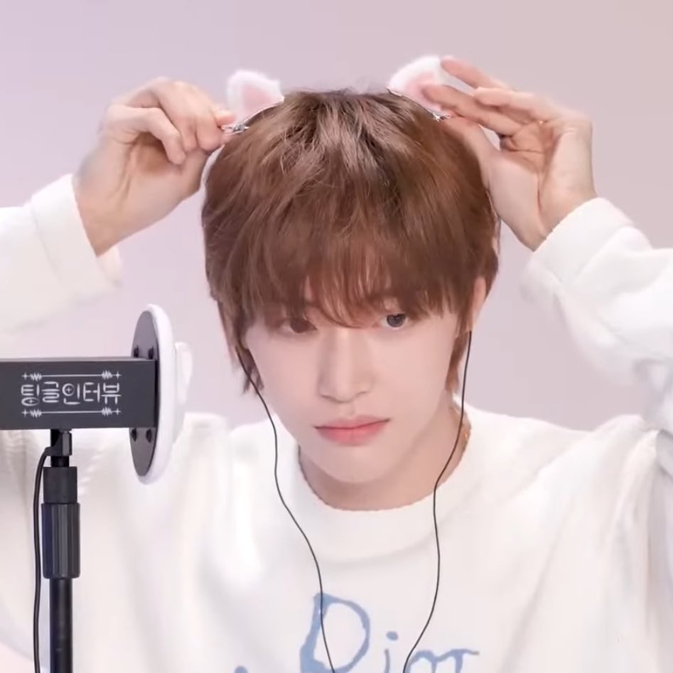 เลี้ยงแมวป่าว