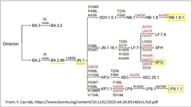 Vipin M. Vashishtha tweet media