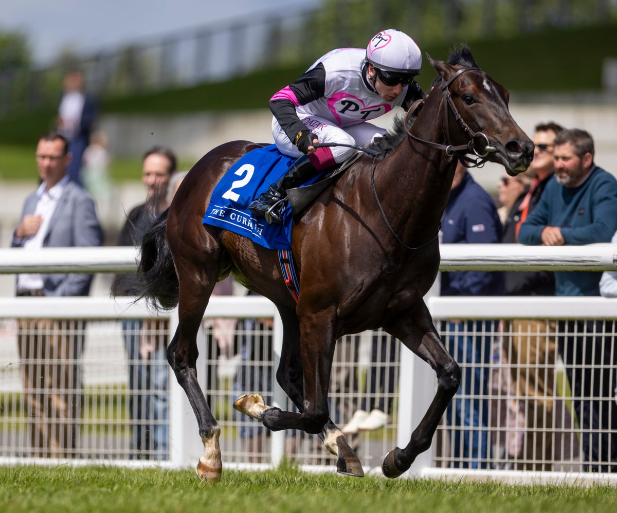Connolly's RED MILLS (@redmillshorse) on Twitter photo Balantina, Porta Fortuna and Sharpen provided Bawnmore handler Donnacha O'Brien with a treble on a day to remember at the <a href="/curraghrace/">The Curragh Racecourse</a> ๐๐๐
#FeedYourDesireToWin Balantina, Porta Fortuna and Sharpen provided Bawnmore handler Donnacha O'Brien with a treble on a day to remember at the <a href="/curraghrace/">The Curragh Racecourse</a> ๐๐๐
#FeedYourDesireToWin