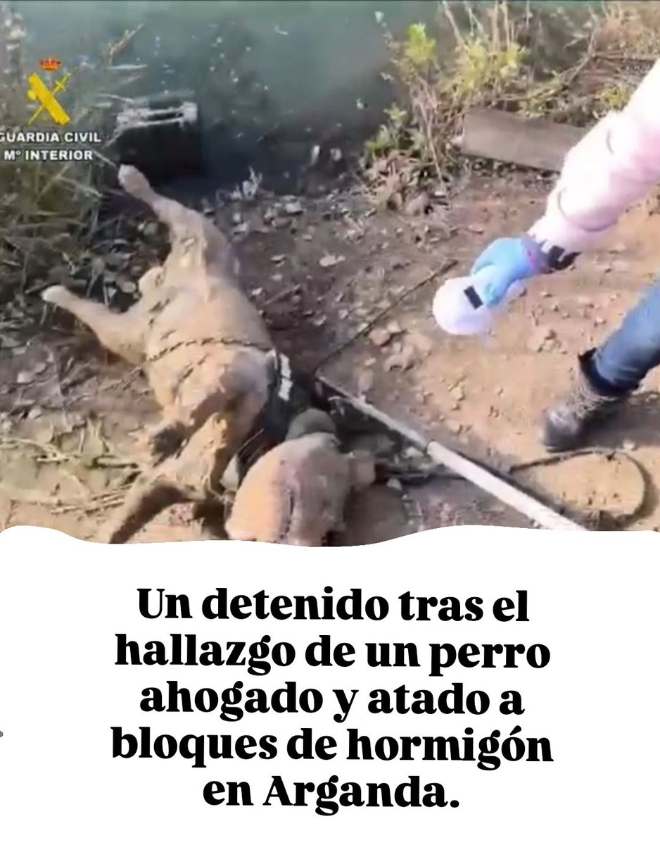 Rubén Pérez tweet media