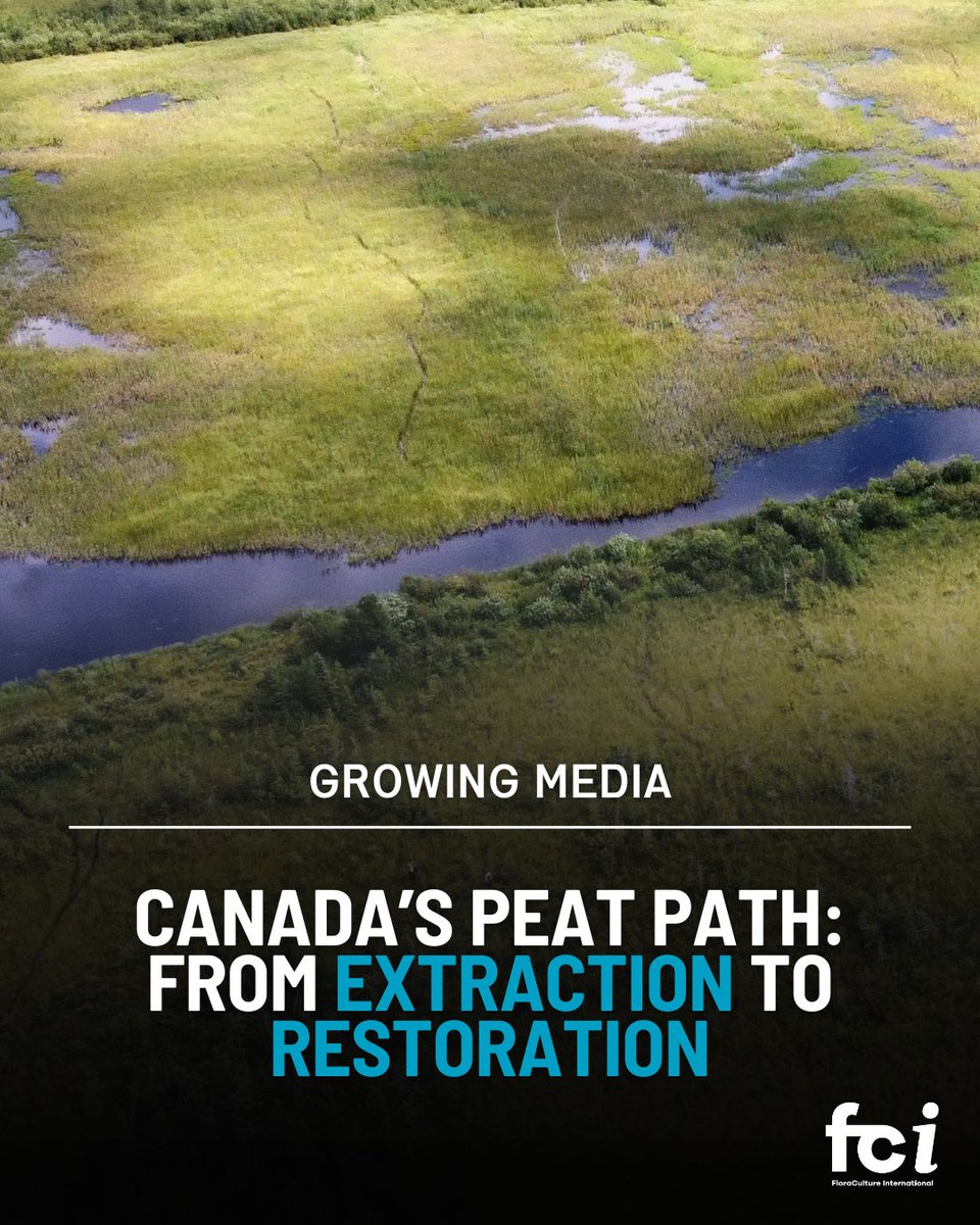 As the UK continues to roll out its plan to phase out peat-based horticulture by 2030, the conversation in Canada is quite different. Thanks to a decades-long collaboration, Canada has emerged as a leader in peatland restoration.

Read more on page 48: aiph.org/floraculture/l…