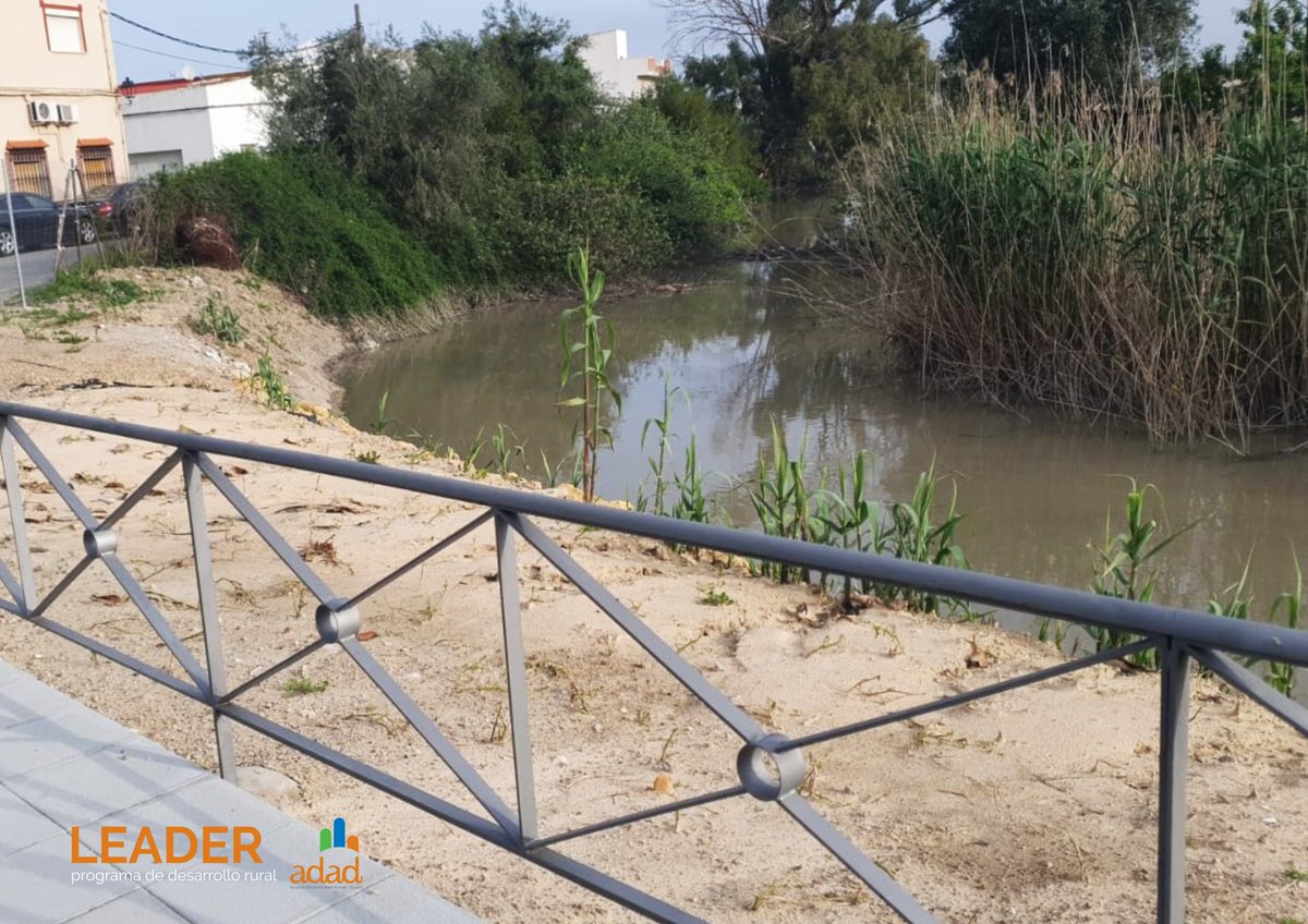 Aljarafe_Donana's tweet photo. 🟠 #ProyectoLEADER | El Ayuntamiento de Isla Mayor recupera un espacio degradado y lo transforma en pulmón verde urbano🌿

➡️El canal de ‘Los Morriones’ renace gracias al apoyo de LEADER gestionado por ADAD.

📎 https://t.co/5y4ElTwTXn https://t.co/bHUVCsmZLa