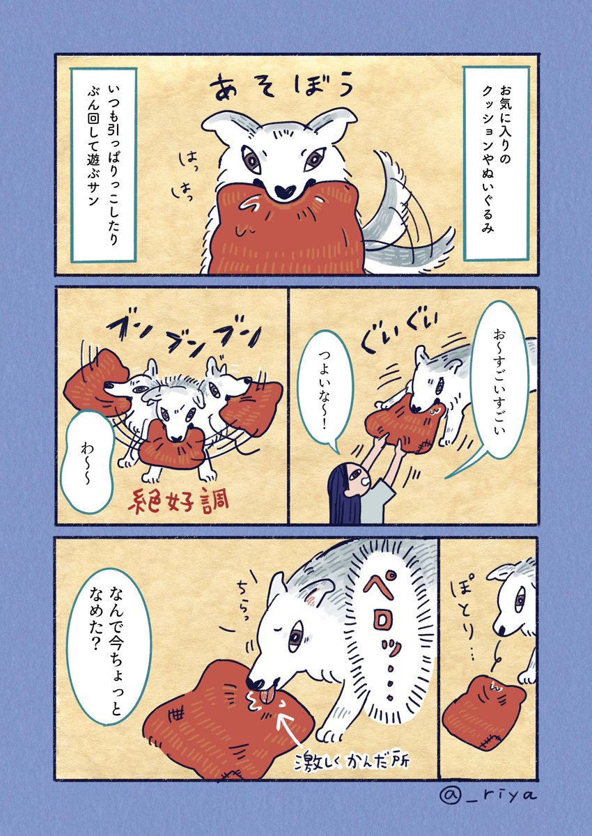 デカい狼犬との日常🐺

「ちょいペロ」 