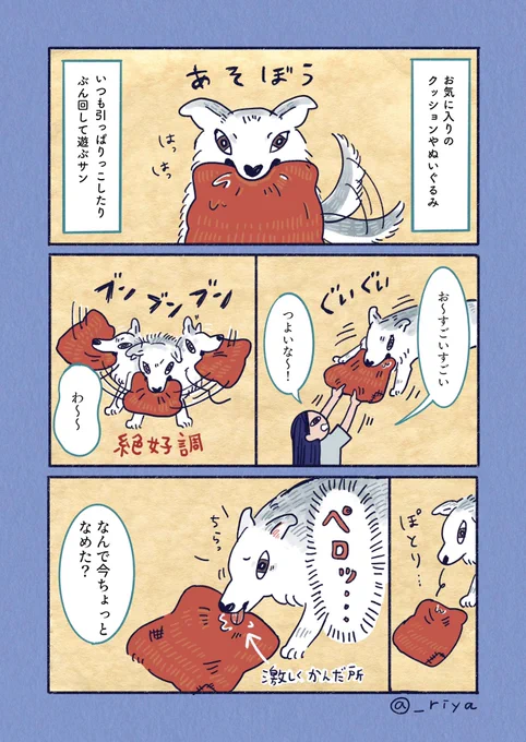デカい狼犬との日常🐺

「ちょいペロ」 