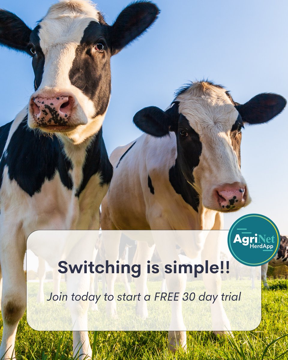Make the switch to AgriNet HerdApp today and discover how we can assist you on your farm! 👍 AgriNet HerdApp is a user-friendly software that's been supporting Irish farmers since 1994. Download today to begin your FREE 30-Day Trial! 🐮