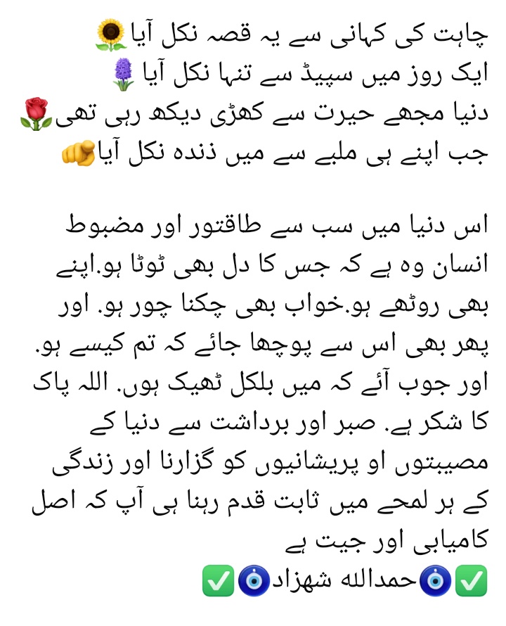 HamdShahzad's tweet photo. چاہت کی کہانی سے یہ قصہ نکل آیا...
ایک روز میں سپیڈ سے تنہا نکل آیا...
دنیا مجھے حیرت سے کھڑی دیکھ رہی تھی...
جب اپنے ہی ملبے سے میں ذندہ نکل آیا... https://t.co/Fi5qXVNyGo