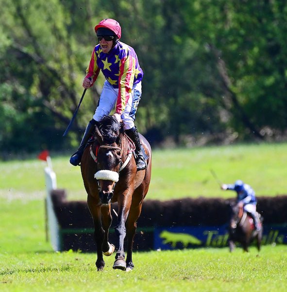 Irish QR Association (@qrirish) on Twitter photo Champion again & for the 9th consecutive year <a href="/bononeill1/">Barry O Neill</a> 👏🏆
Congratulations Barry. On June 7 Barry will receive his trophy & 2 regional titles at the <a href="/GAINEquine/">GAIN Equine Nutrition</a> P2P awards. Tickets 👇
eventlist.store/irishnationalh… Champion again & for the 9th consecutive year <a href="/bononeill1/">Barry O Neill</a> 👏🏆
Congratulations Barry. On June 7 Barry will receive his trophy & 2 regional titles at the <a href="/GAINEquine/">GAIN Equine Nutrition</a> P2P awards. Tickets 👇
eventlist.store/irishnationalh…
