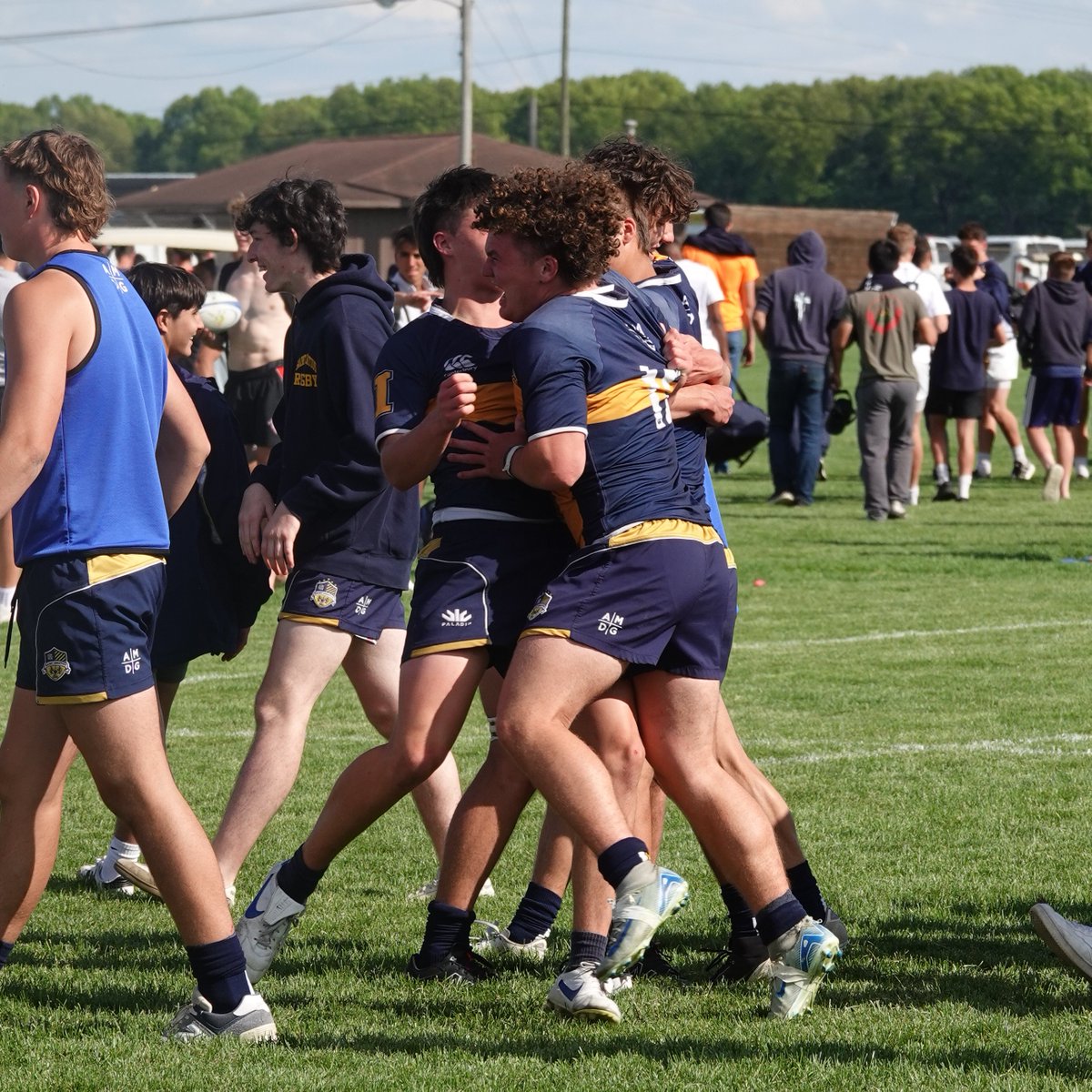 RUG: VICTORY MONDAY 🏆
#GoCats