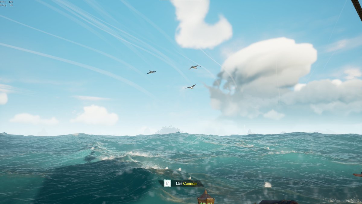 Burps flying next to the boat ❤