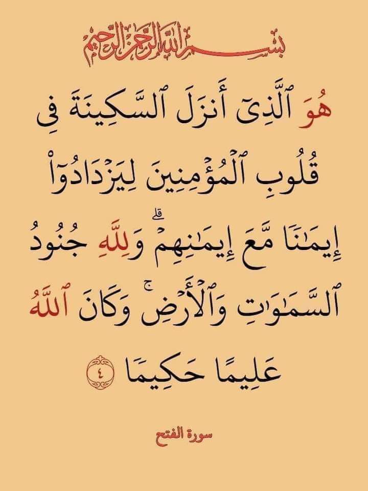⍟𝐆𝐡𝐚𝐳𝐚𝐥𝐚 𝐒𝐚𝐝𝐚𝐟⍟ (@ghz21) on Twitter photo #sXp⭐X📢#A_P_G
سٹارزایکس پروموشن
<a href="/Ozlerntr/">ÖzleⓂ️ 𝕏☪︎#Nika -ོ 🕯️🥶</a> <a href="/_1gul/">Aαɾα น'Şคfຊคi</a>
<a href="/Trq88/">✍︎⸙𝐓αɾιϙ 𝐌υɾƚαȥα࿈</a> <a href="/Ghz97/">✪𝗚𝖍𝖆𝖟𝖆𝖑𝖆𝖍 𝗦𝖆𝖉𝖆𝖋✪</a>
<a href="/1lsura/">𝐒𝐡 𝐒𝐚𝐡𝐢𝐫💫</a>
<a href="/_i_tl/">HK</a> <a href="/1Aara_/">○° آراءخان°○</a>
<a href="/m80mh/">Muhammad Hilal</a> <a href="/1GPTI/">🅖🅤🅛🙋♀️</a>
<a href="/_1rha/">بابا کی لاڈلی</a>
<a href="/Mir44_/">Sᴍoͥkeͣrͫ ོ 🦅</a>
<a href="/lilmne/">®Lili</a>
<a href="/db7qp/">Rose</a>
<a href="/Ghz21/">⍟𝐆𝐡𝐚𝐳𝐚𝐥𝐚 𝐒𝐚𝐝𝐚𝐟⍟</a>
<a href="/Triq25/">⤹𝙈𝙪𝙝𝙖𝙢𝙢𝙖𝙙 𝙏𝙖𝙧𝙞𝙦⤸</a>
<a href="/Ghz79/">❃ 𝔾𝕙𝕒𝕫𝕒𝕝𝕒𝕙 𝕊𝕒𝕕𝕒𝕗 ❃</a>
<a href="/le_mcb/">Lee</a>
<a href="/Ozautr/">ÖzleⓂ️ #NikaShakarami -ོ</a>
<a href="/Lub_03/">✿𝖑𝖚𝖇𝖓𝖆 𝑨𝖑𝖎✿</a>
<a href="/sid7slv/">Sidney 🇧🇷🇧🇷🇧🇷🇧🇷 "NO CRYPTO"</a>
<a href="/mne_oz/">özleⓂ️#Nika -ོ 🫶𓅱ོ-</a>
<a href="/Hmid71/">⤥𝙃𝙖𝙢𝙞𝙙 𝙎𝙝𝙯𝙖𝙙⤣</a>
<a href="/Khld36/">✍𝙆𝙝𝙖𝙡𝙞𝙙 𝙃𝙪𝙨𝙖𝙞𝙣✍⳼</a>
<a href="/Frhn42/">★𝙁𝙧𝙝𝙖𝙣 𝘼𝙝𝙢𝙚𝙙★</a>
<a href="/eduslv7/">Eduardo 🇧🇷🇧🇷</a>
<a href="/Shmi40/">꧁༺𝙎𝙝𝙖𝙝𝙈𝙚𝙚𝙧༻꧂</a>
<a href="/anm_khn/">Anam Kanwal</a>
<a href="/m81mh/">Muhammad Hilal</a> <a href="/11usx/">Մsตαղ Ⓒɦeeɱα✪</a>
<a href="/Sc2017W/">SC2017</a>📢<a href="/zubi_rai/">Zubaria Rai</a> #sXp⭐X📢#A_P_G
سٹارزایکس پروموشن
<a href="/Ozlerntr/">ÖzleⓂ️ 𝕏☪︎#Nika -ོ 🕯️🥶</a> <a href="/_1gul/">Aαɾα น'Şคfຊคi</a>
<a href="/Trq88/">✍︎⸙𝐓αɾιϙ 𝐌υɾƚαȥα࿈</a> <a href="/Ghz97/">✪𝗚𝖍𝖆𝖟𝖆𝖑𝖆𝖍 𝗦𝖆𝖉𝖆𝖋✪</a>
<a href="/1lsura/">𝐒𝐡 𝐒𝐚𝐡𝐢𝐫💫</a>
<a href="/_i_tl/">HK</a> <a href="/1Aara_/">○° آراءخان°○</a>
<a href="/m80mh/">Muhammad Hilal</a> <a href="/1GPTI/">🅖🅤🅛🙋♀️</a>
<a href="/_1rha/">بابا کی لاڈلی</a>
<a href="/Mir44_/">Sᴍoͥkeͣrͫ ོ 🦅</a>
<a href="/lilmne/">®Lili</a>
<a href="/db7qp/">Rose</a>
<a href="/Ghz21/">⍟𝐆𝐡𝐚𝐳𝐚𝐥𝐚 𝐒𝐚𝐝𝐚𝐟⍟</a>
<a href="/Triq25/">⤹𝙈𝙪𝙝𝙖𝙢𝙢𝙖𝙙 𝙏𝙖𝙧𝙞𝙦⤸</a>
<a href="/Ghz79/">❃ 𝔾𝕙𝕒𝕫𝕒𝕝𝕒𝕙 𝕊𝕒𝕕𝕒𝕗 ❃</a>
<a href="/le_mcb/">Lee</a>
<a href="/Ozautr/">ÖzleⓂ️ #NikaShakarami -ོ</a>
<a href="/Lub_03/">✿𝖑𝖚𝖇𝖓𝖆 𝑨𝖑𝖎✿</a>
<a href="/sid7slv/">Sidney 🇧🇷🇧🇷🇧🇷🇧🇷 "NO CRYPTO"</a>
<a href="/mne_oz/">özleⓂ️#Nika -ོ 🫶𓅱ོ-</a>
<a href="/Hmid71/">⤥𝙃𝙖𝙢𝙞𝙙 𝙎𝙝𝙯𝙖𝙙⤣</a>
<a href="/Khld36/">✍𝙆𝙝𝙖𝙡𝙞𝙙 𝙃𝙪𝙨𝙖𝙞𝙣✍⳼</a>
<a href="/Frhn42/">★𝙁𝙧𝙝𝙖𝙣 𝘼𝙝𝙢𝙚𝙙★</a>
<a href="/eduslv7/">Eduardo 🇧🇷🇧🇷</a>
<a href="/Shmi40/">꧁༺𝙎𝙝𝙖𝙝𝙈𝙚𝙚𝙧༻꧂</a>
<a href="/anm_khn/">Anam Kanwal</a>
<a href="/m81mh/">Muhammad Hilal</a> <a href="/11usx/">Մsตαղ Ⓒɦeeɱα✪</a>
<a href="/Sc2017W/">SC2017</a>📢<a href="/zubi_rai/">Zubaria Rai</a>