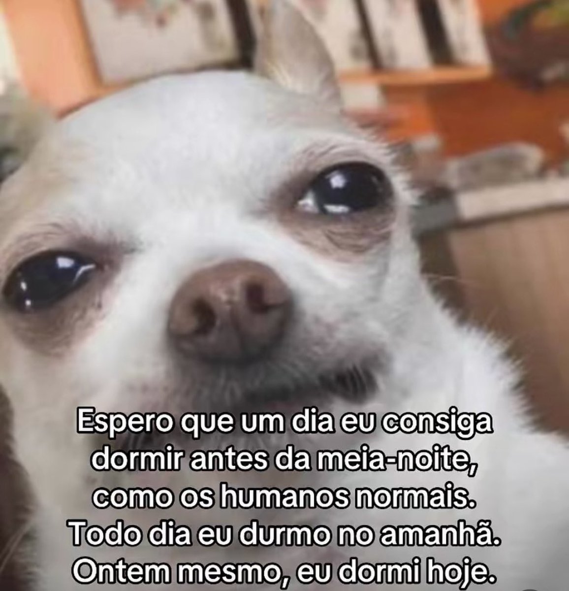 paginalixo1's tweet photo. https://t.co/TKYBep4LQy