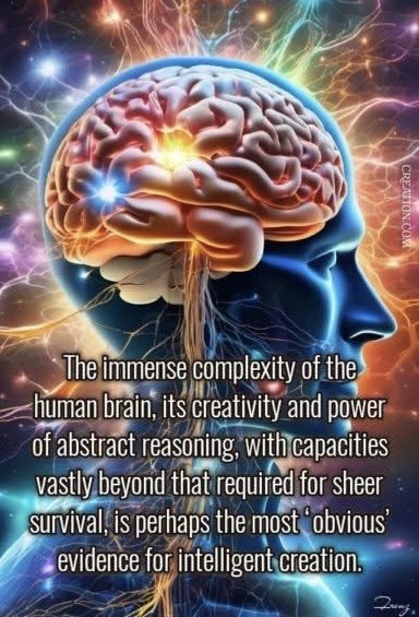 NotEvolution1's tweet image. Designed, not evolved