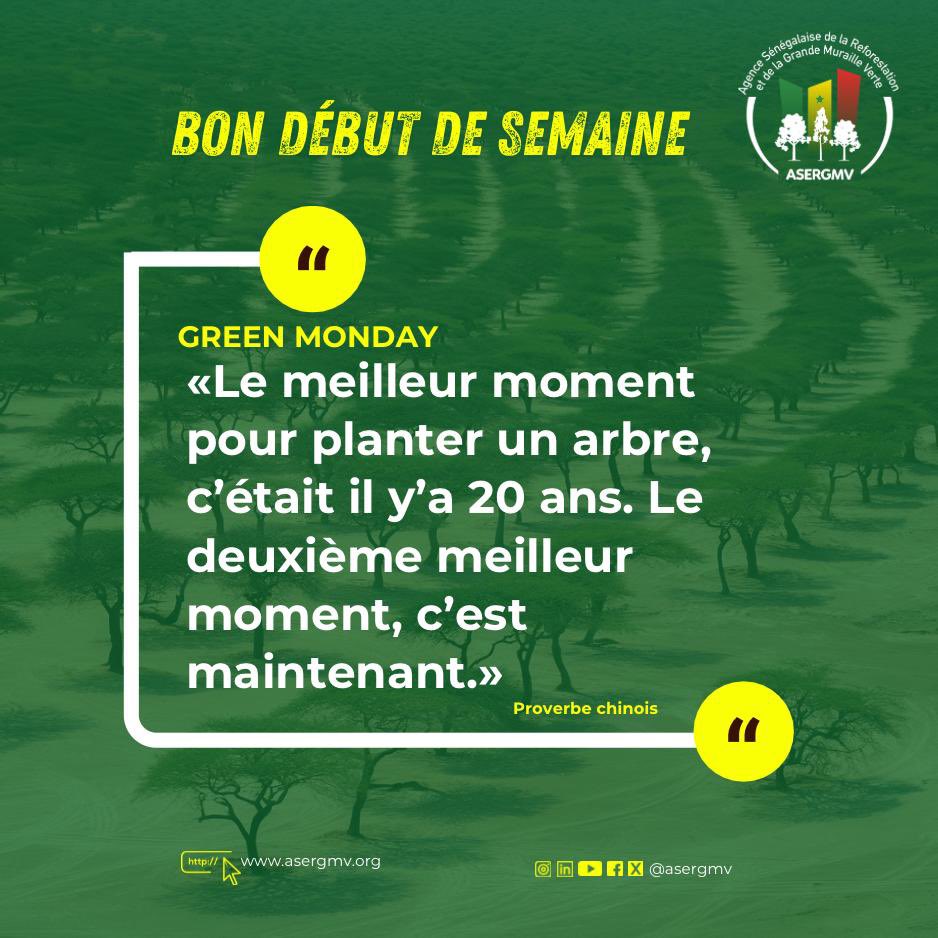 𝔾ℝ𝔼𝔼ℕ 𝕄𝕆ℕ𝔻𝔸𝕐

«Le meilleur moment pour planter un arbre, c'était il y'a 20 ans. Le deuxième meilleur moment, c'est maintenant.» Proverbe chinois

𝙱𝚘𝚗𝚗𝚎 𝚜𝚎𝚖𝚊𝚒𝚗𝚎 𝚊̀ 𝚝𝚘𝚞𝚝𝚎𝚜 𝚎𝚝 𝚊̀ 𝚝𝚘𝚞𝚜.

#ASERGMV #dakar #senegal #environment #GreenMonday