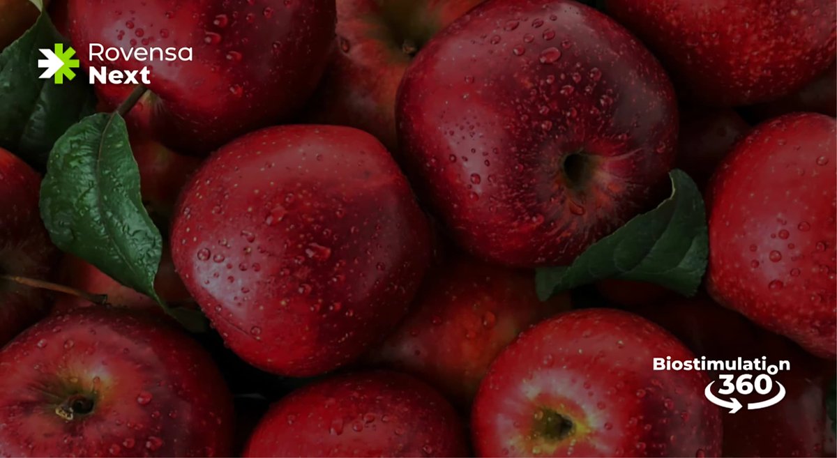 Enhance the value and quality of your crops with Biostimulation 360°

🚜 Agriculture plays a crucial role in ensuring food security and nutrition worldwide. The quality traits of crops are essential for their marketability, consumer acceptance, and overall nutritional value.
