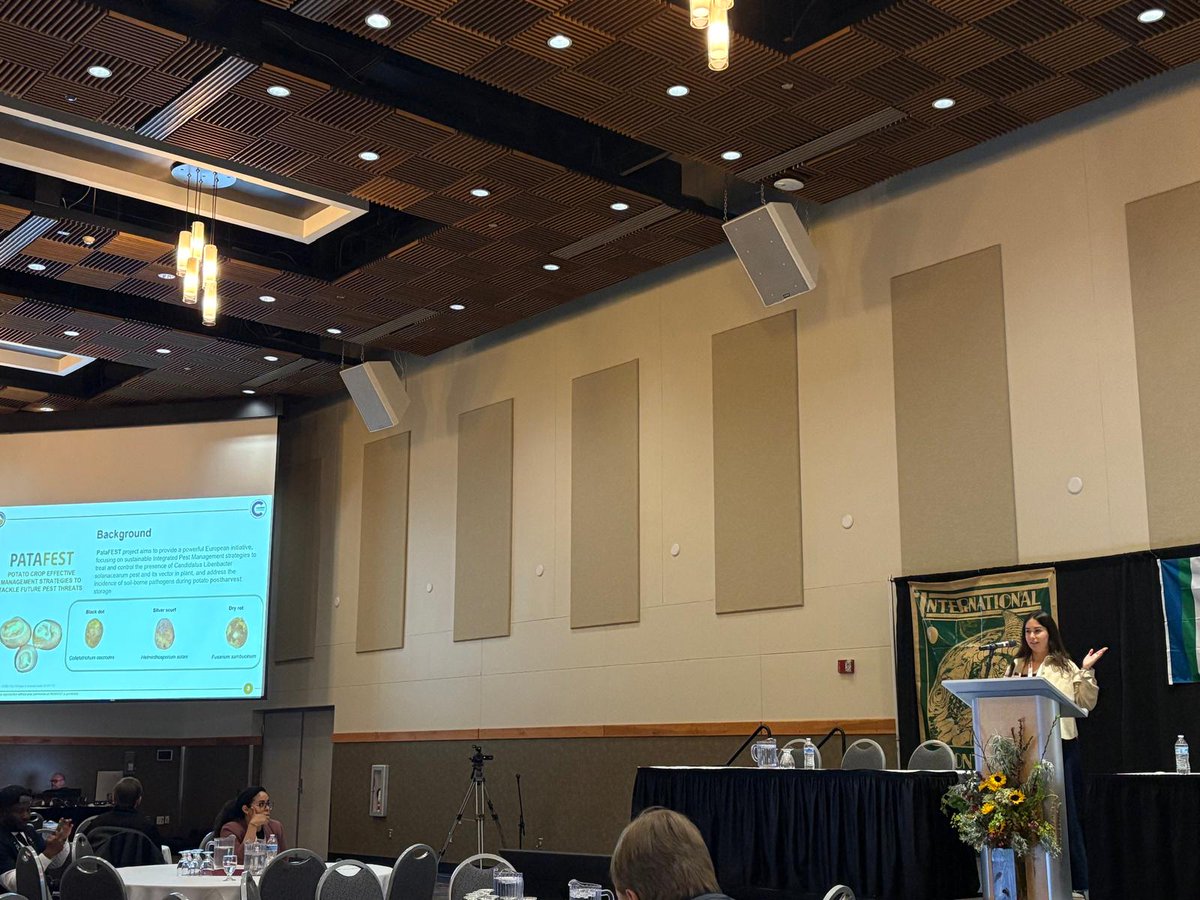 patafest_eu's tweet photo. Last week, Mari Carmen Alamar Gavidia & Marta Sanzo Miró (Cranfield University) presented at #CAMA2025 in Wenatchee, WA!
🥔 Marta shared insights from #PATAFEST on biocontrol coatings vs. potato black dot.
🍠 MCarmen discussed fungal growth & aflatoxins in sweetpotatoes https://t.co/0ZfpQ9VrAQ