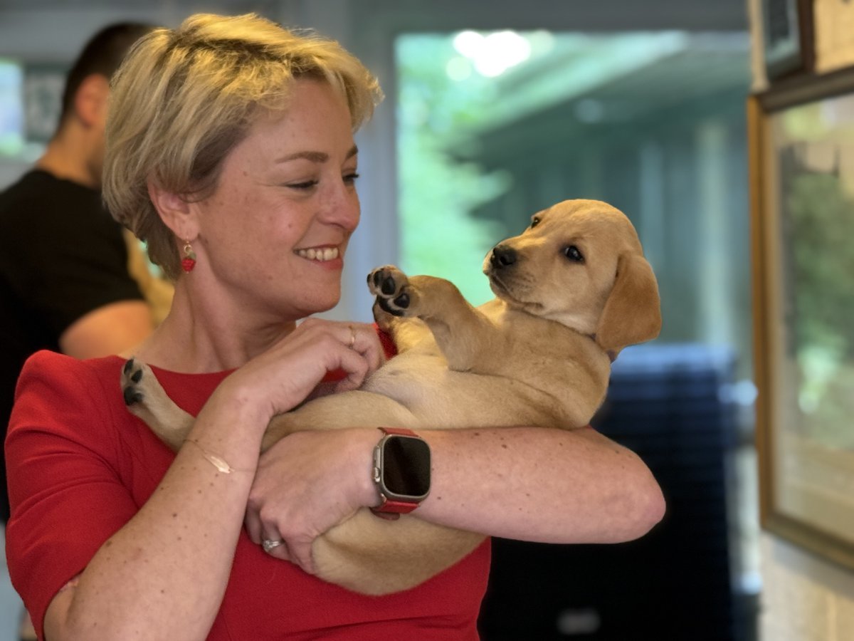 Surrey PCC (@surreypcc) on Twitter photo And they call it puppy love 😍
Commissioner <a href="/_Lisa_Townsend/">Lisa Townsend</a> has met 11 Labrador pups bred by Surrey's internationally-renowned police dog school.
The puppies, who made a visit back to the school last week, will begin formal police dog training when they're older🐶 And they call it puppy love 😍
Commissioner <a href="/_Lisa_Townsend/">Lisa Townsend</a> has met 11 Labrador pups bred by Surrey's internationally-renowned police dog school.
The puppies, who made a visit back to the school last week, will begin formal police dog training when they're older🐶