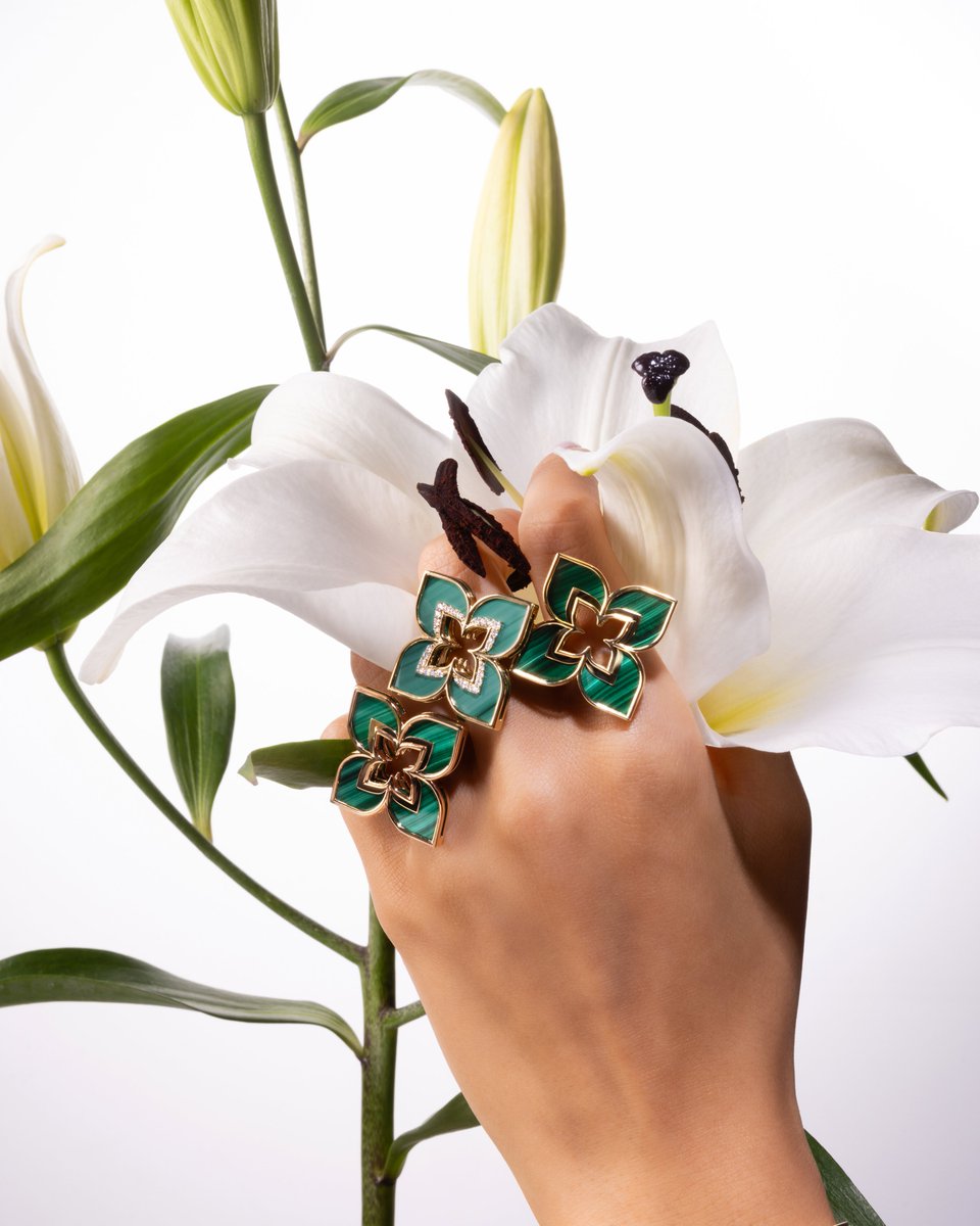 Blooming isn’t an explosion - it’s a quiet choice of beauty. How many corollas and petals are there in the world of jewelry? Discover them all.

#RobertoCoin #VenetianPrincess