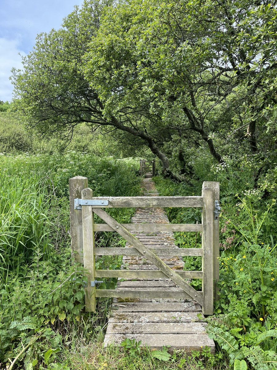 EvocativeCorn's tweet image. Lovely circular walk around Church Cove and Gunwalloe