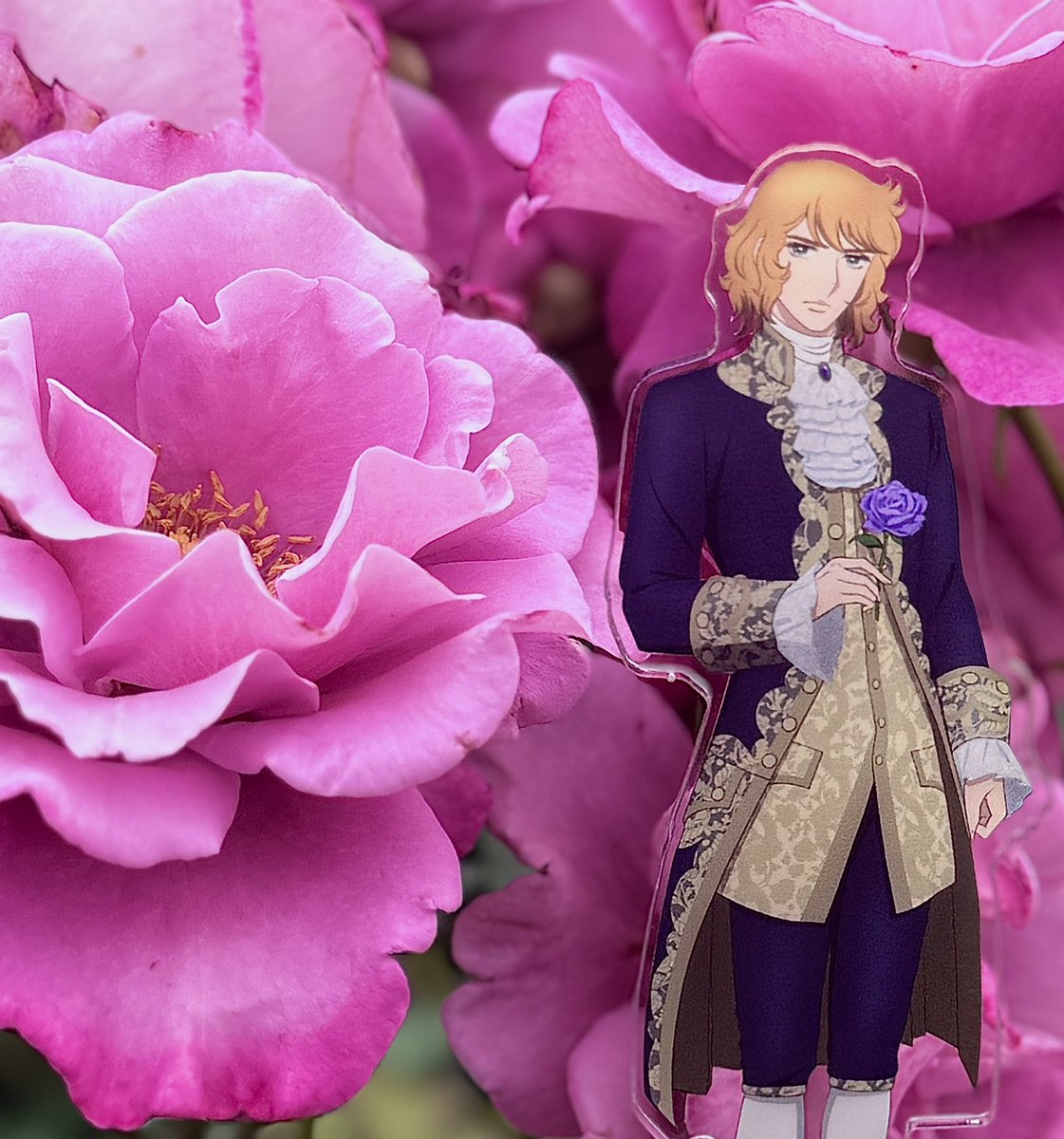 NEKOMARU_i's tweet photo. 京成バラ園に行ってきました🥰
各キャラクターの🌹で記念撮影です。

#ベルばら
#京成バラ園 https://t.co/GDbJRZFySp