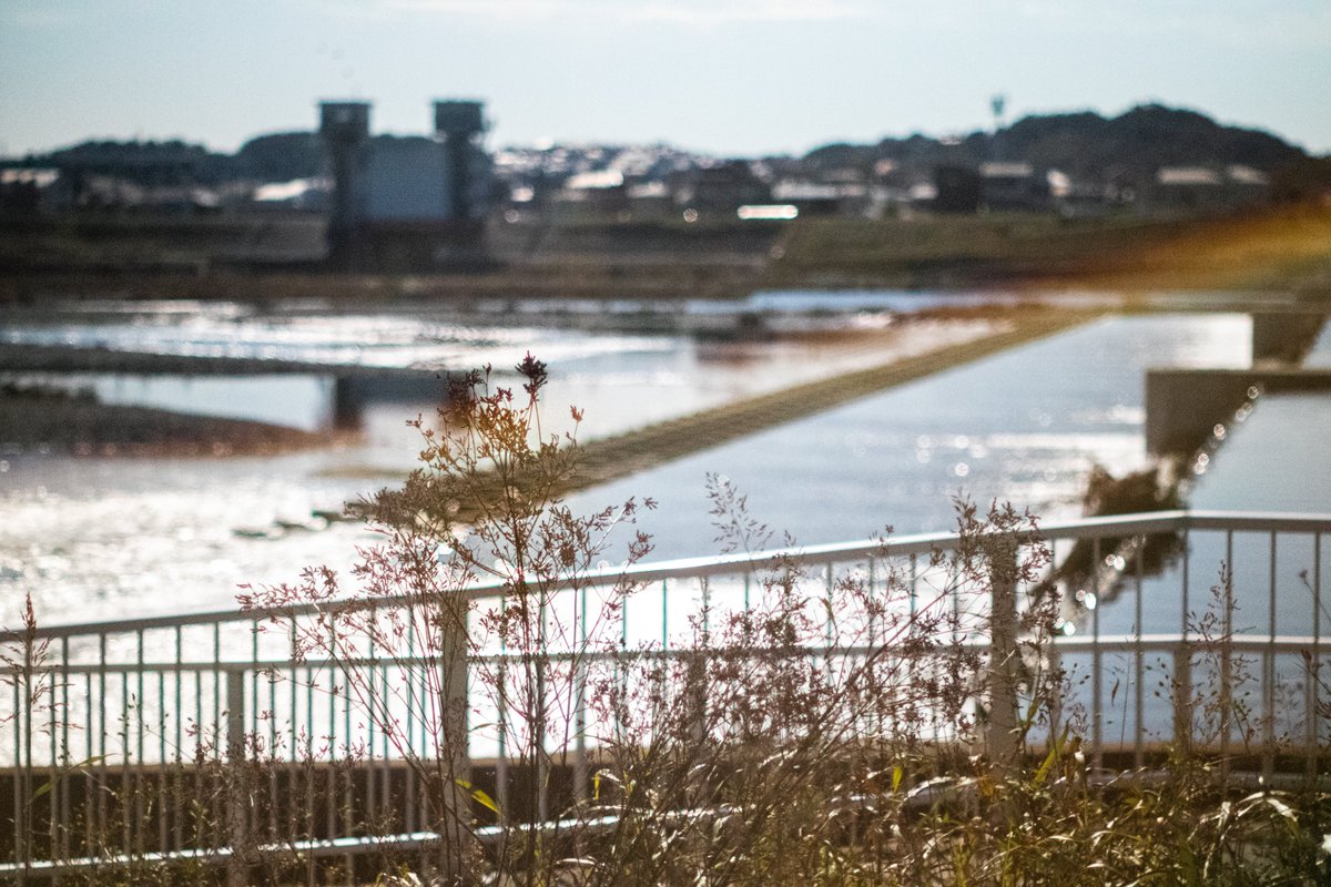 私を元気にしてくれた
My Little Lover「遠い河」のことちょっと書いてみた📝
ofuse.me/my/posts/91315

＃OFUSE 　＃Supported