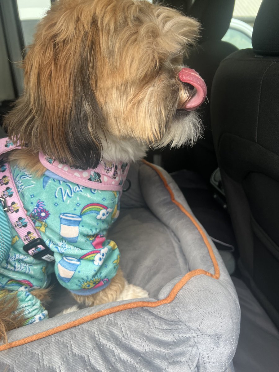 We are headed to my grandparents and she is still in Jammie’s:-)