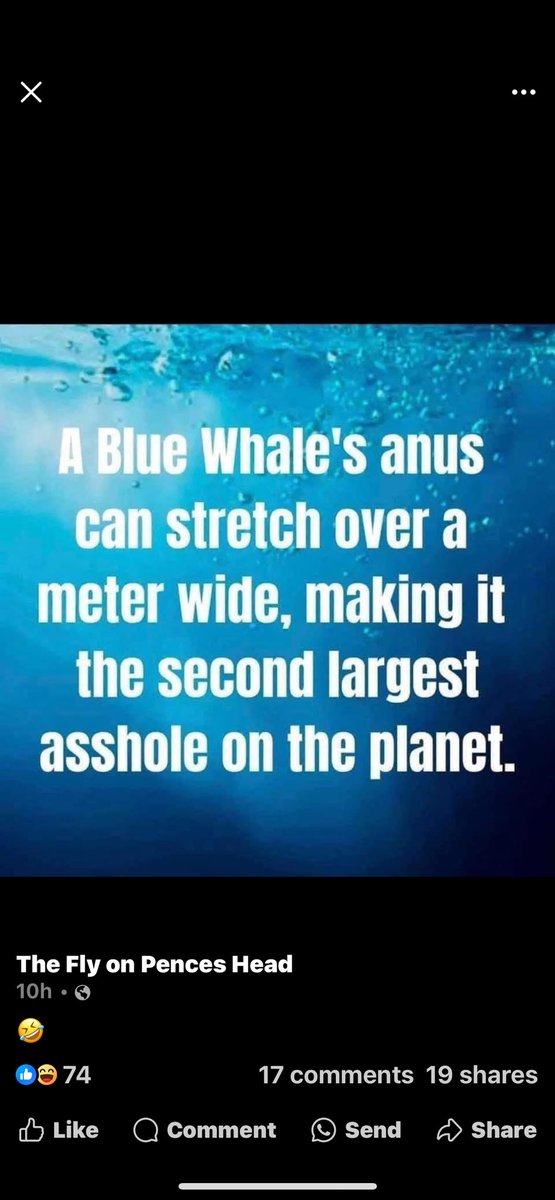 Love fun facts:-)