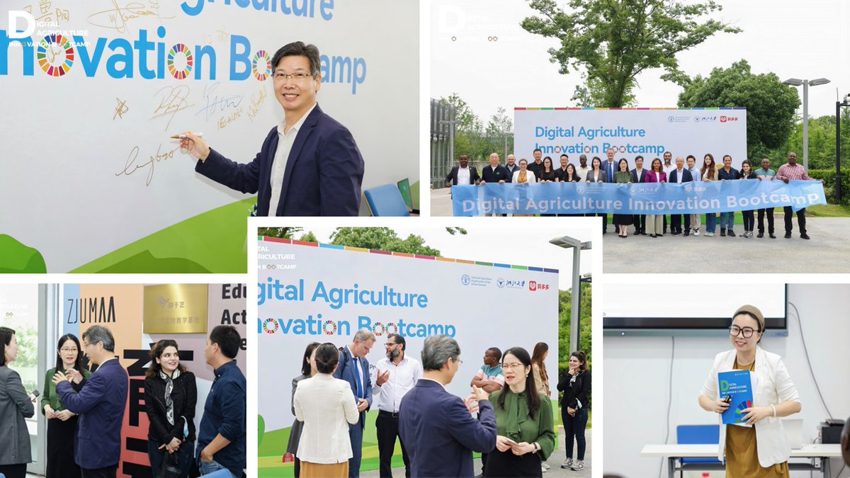FAO e-Agriculture (@faoeagriculture) on Twitter photo Today we launched the #DigitalAgriculture Innovation Bootcamp with inspiring words from <a href="/FAO/">Food and Agriculture Organization</a>, <a href="/ZJU_China/">Zhejiang University</a> & @Pinduoduo.
Participants started the week identifying the challenges, opportunities, risks & benefits in the agrifood value chain!🌍💡#AgTech #YouthInAg #AgInnovation ⬇️ Today we launched the #DigitalAgriculture Innovation Bootcamp with inspiring words from <a href="/FAO/">Food and Agriculture Organization</a>, <a href="/ZJU_China/">Zhejiang University</a> & @Pinduoduo.
Participants started the week identifying the challenges, opportunities, risks & benefits in the agrifood value chain!🌍💡#AgTech #YouthInAg #AgInnovation ⬇️