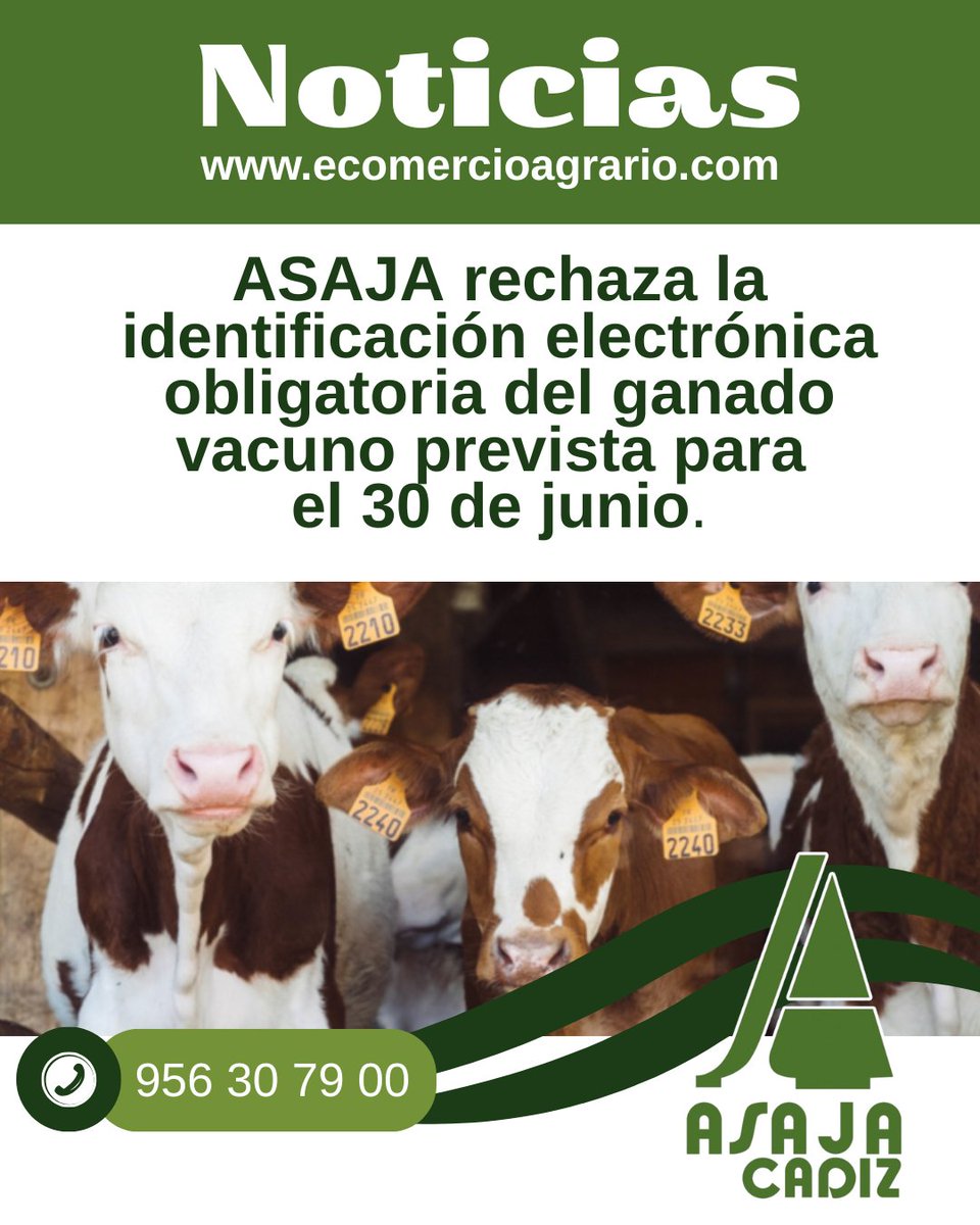 📷Noticia: bit.ly/43U9XVV
Para más información, puedes contactar con nosotros a través de 📷 asajacadiz.org
📷Teléfono: 956 30 79 00
📷Whatsapp: 629 51 34 53