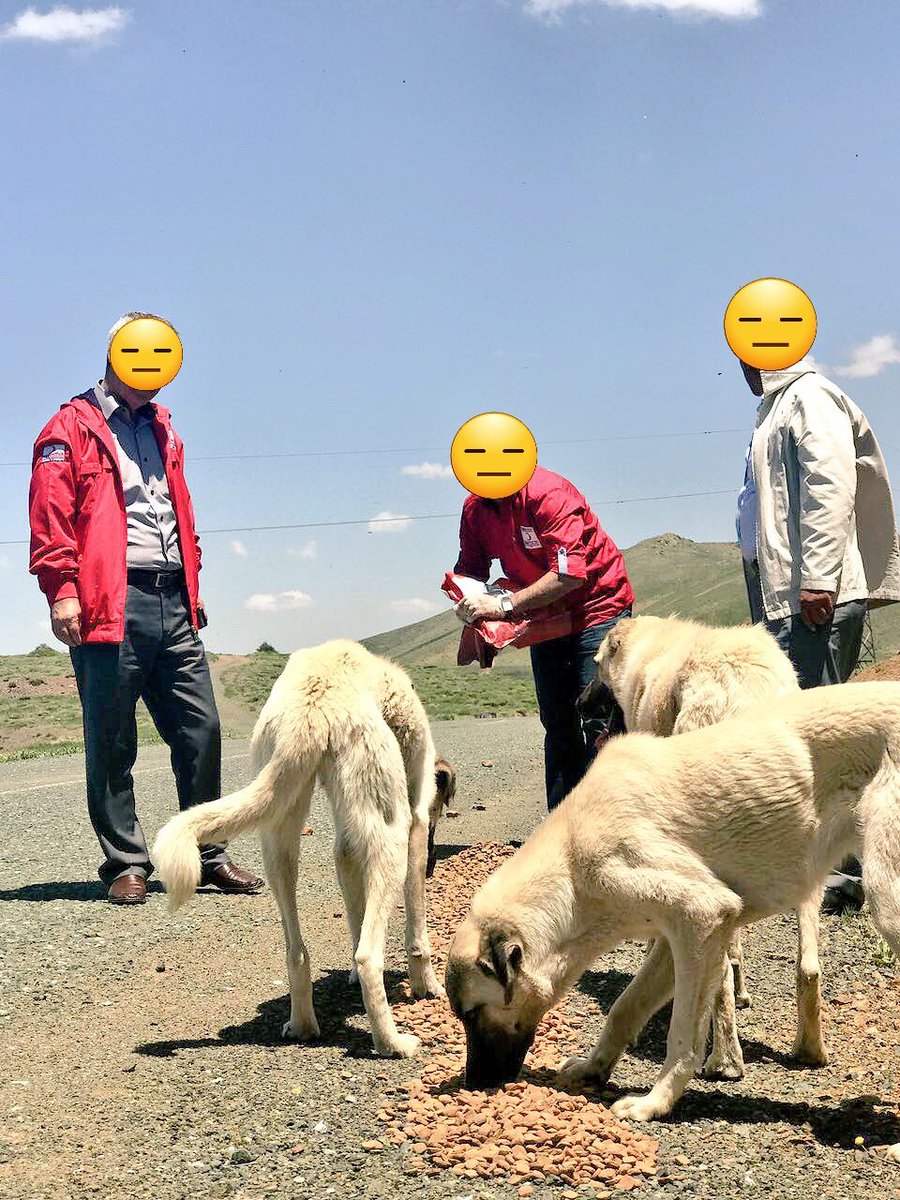 Kızılay'ın yola köpek yemi dökmesi Yeşilay'ın halka alkol dağıtması ile aynı şey