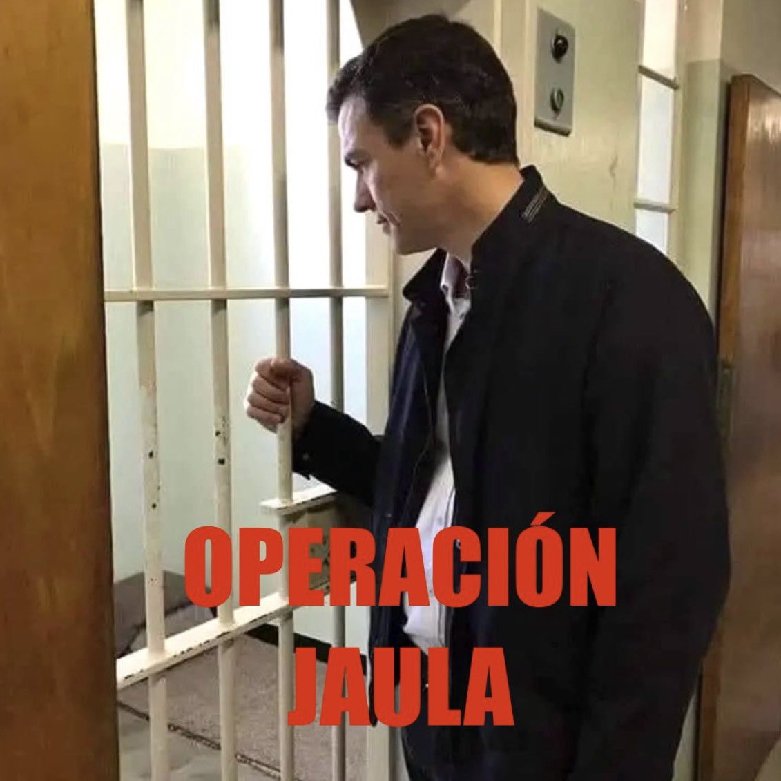 Jesus77maria's tweet image. 🥀 Perro Corleone 🔫

#LaPsoe