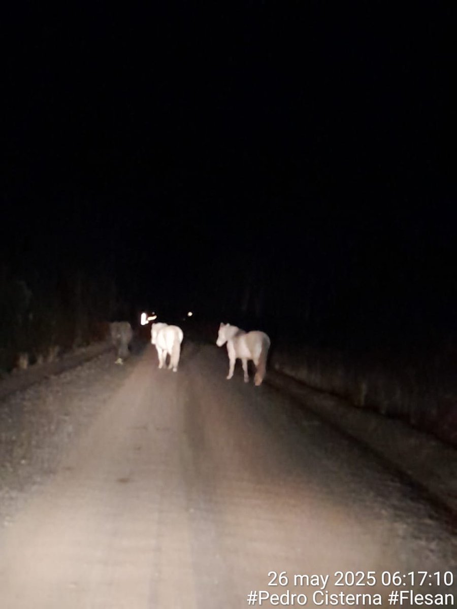 #MOPInforma estado de rutas en la Provincia de Última Esperanza 🚧🚜

Ruta 9
* Km 253 (sector aeródromo) al km 161 límite provincial el pavimento se encuentra húmedo, y por sectores puntuales con poca escarcha. Se esparce sal para deshielo en sectores de curvas y pendientes.