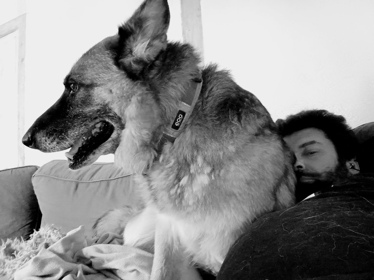 Prodimage tweet media