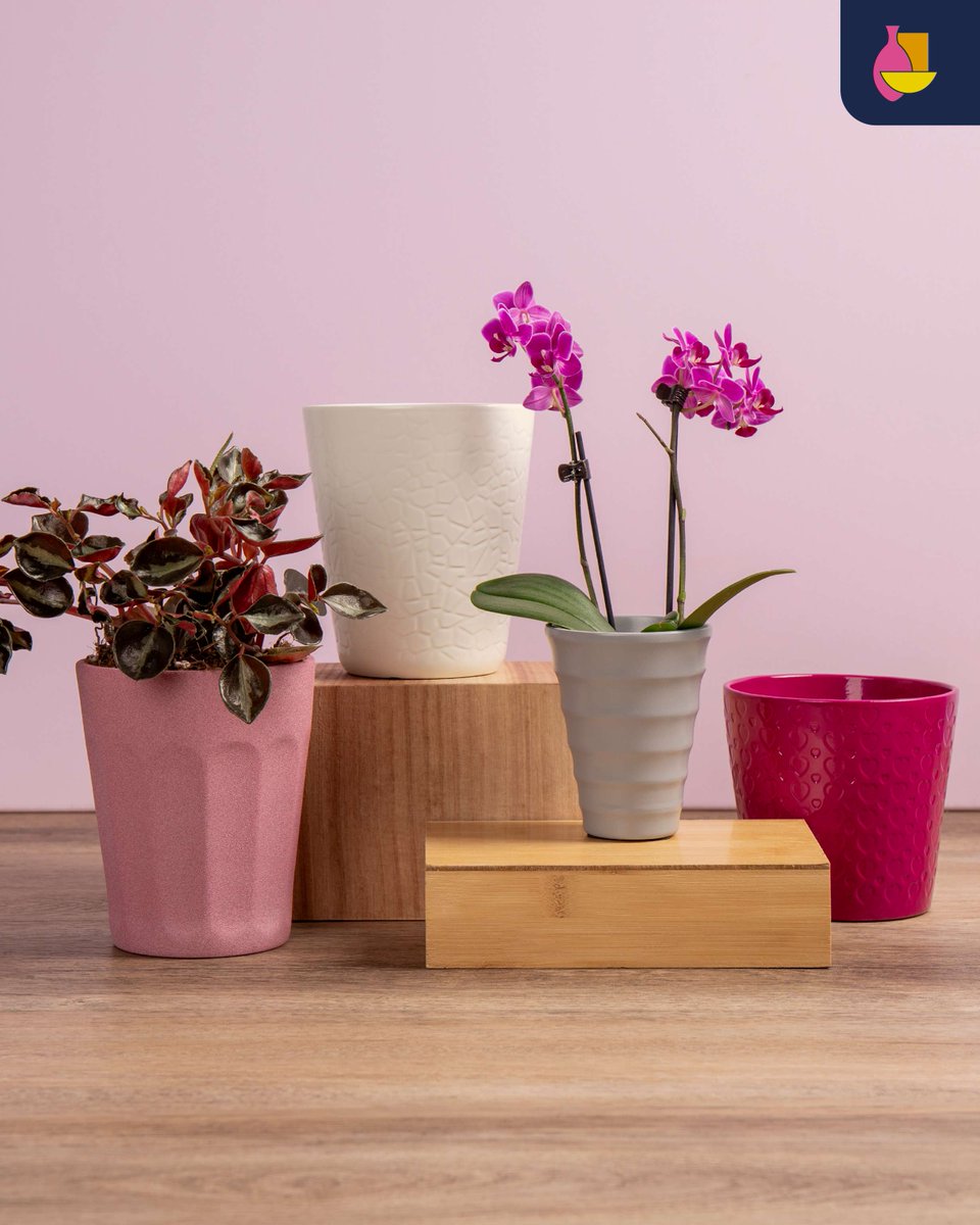 BunnikCreations's tweet image. 100+ colors. 45+ models.
From bold statements to subtle tones — our powder coated pots are made to match every season, style &amp;amp; plant.
#PowderCoatedPots #ColorfulDesign #MadeToMatch #BunnikCreations